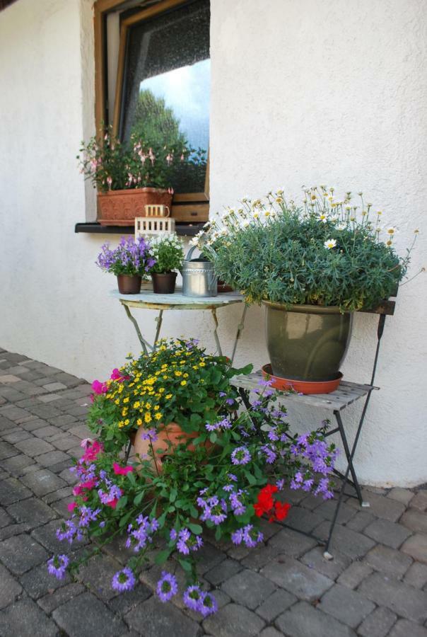 Homestay Cozy Room Markdorf Exterior photo